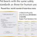 Raised Cat Food Bowl Elevated Cat Bowl MINO Ceramics Made in Japan for Cats and Small Dogs (Regular, White)