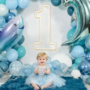 LED Acrylic Light up Number, Decorative Transparent Light up Letters USB Powered Big Number Sign Light for Birthday, Night Light, Party, Anniversary, Christmas, Home Decor, Wedding 12'' (number1)