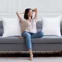 Utopia Bedding Throw Pillows Insert (Pack of 2, White) - 26 x 26 Inches Bed and Couch Pillows - Indoor Decorative Pillow