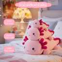 SQEQE Weighted Stuffed Animal Axolotl, Soft Weighted Axolotl Plush Toy, Cute Hugging Pillow Gift for Kids Adults, Home Decoration Valentines Gifts Birthday Present 23.6 Inch, 3.8 Lb
