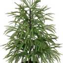 XmasExp 3ft Norfolk Pine Tree Artificial Faux Potted Christmas Tree for Front Porch Indoor Outdoor Decor