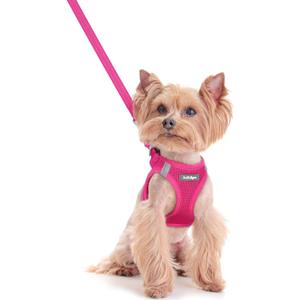Rabbitgoo Dog Harness Small Sized and Leash Set, Step in Soft Light Puppy Vest, Breathable Mesh Pet Harness, Reflective for Safe Easy Walking, Rose Red, XXS