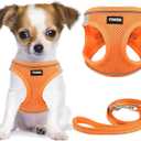 YIMEIS Dog Harness and Leash Set, No Pull Soft Mesh Pet Harness, Reflective Adjustable Puppy Vest for Small Medium Large Dogs, Cats (Orange01, X-Small (Pack of 1)