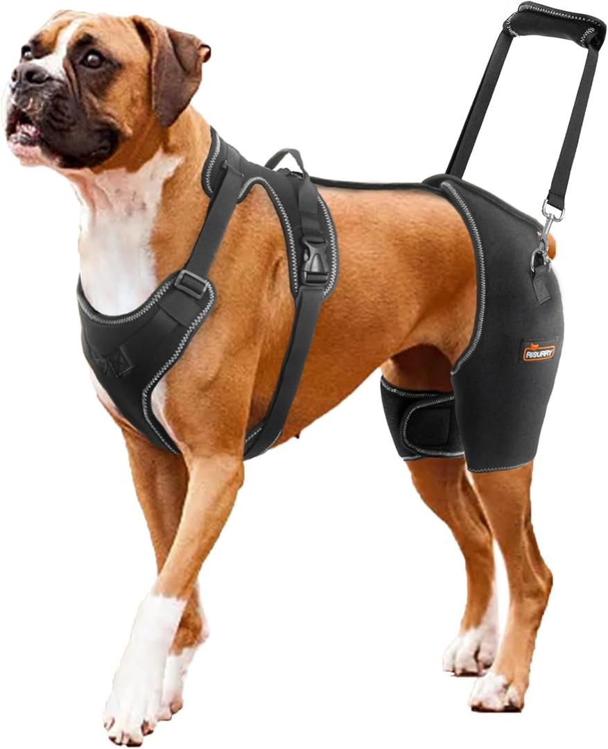 CHAMIN/RISURRY Dog Hip Brace Support for Hip Dysplasia, Arthritis, Back Leg limping, Rear Leg Brace with Back Handheld Design to Reduce Hip Pain et (Large)