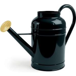 Galvanized Iron Watering Can for Indoor Plants, Bowl Watering Cans for House Plant Garden Flower, Long Spout Water Can for Outdoor Watering Plants 8.71L 2.3 Gallon Gold