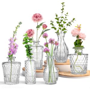 Glass Mini Vases, 5 Inch Height, Set of 4, Transparent Bottle Shape, for Home and Flowers (6)