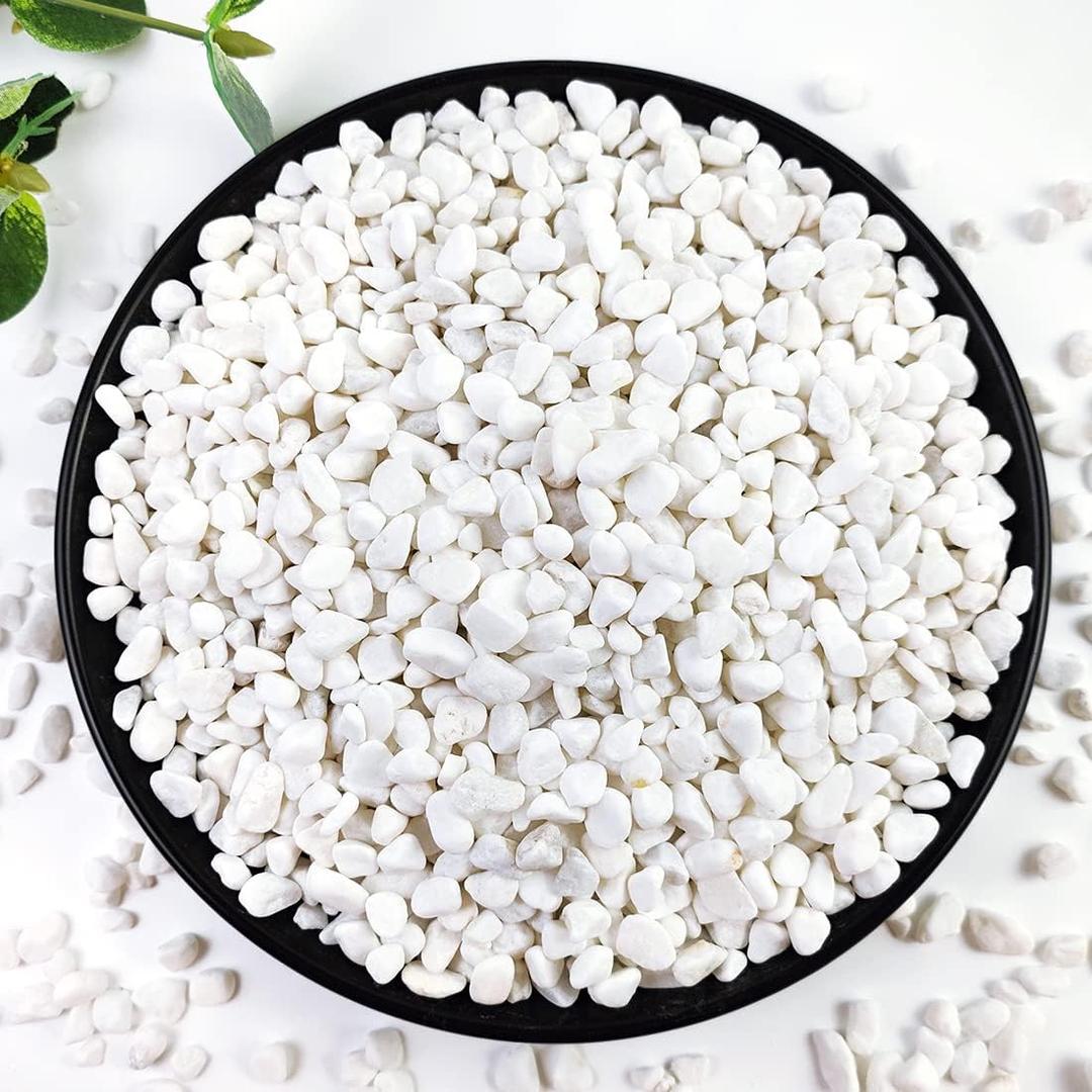 5LB Succulent and Cactus Gravel Pebbles, 1/5 Inch White Natural Decorative Polished Stones, River Rocks for Plants, Vases, Aquariums, Terrarium and Outdoor Gardening (5 Pounds)
