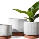 LE TAUCI Ceramic Pots for Plants, 8+6.7+5.5 Inch Plant Pots Indoor, Flower Pot with Drainage Holes, Medium Cylinder Planters for Indoor House Plants, Set of 3, Reactive Glaze White
