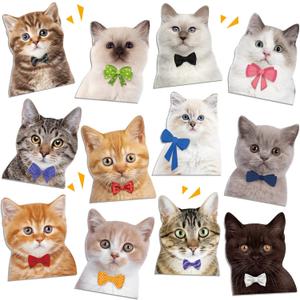 Ecally 12 Pcs Cat Magnets for Refrigerators Cruise Door Decorations Magnetic Cat Funny Magnets for Ship Door Locker Reusable Magnetic Sticker Home Kitchen Office Car