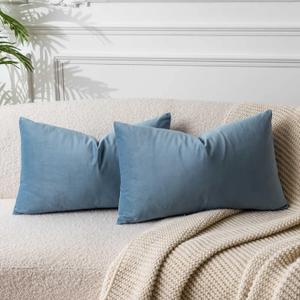 JUSPURBET Light Blue Throw Pillow Covers Set of 2 Decorative Velvet Pillow Covers for Couch Sofa Bed Soft Lumbar Cushion Covers with Invisible Zipper for Living Room Home Decor,14x24 inch