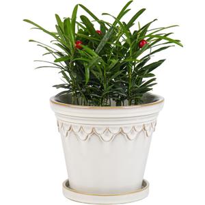 6.3 Inch Ceramic Planter, Plant Pot with Drainage Hole and Saucer, Decorative Glaze Flower Pot for Indoor Plants (White)