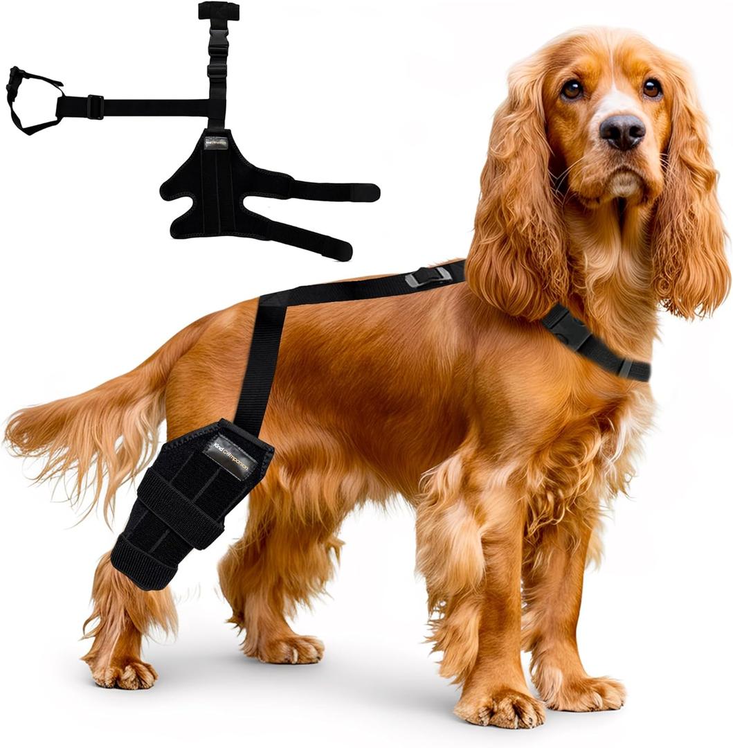 Dog Knee Brace  Adjustable Hind Leg Support for Torn ACL, Joint Pain, Arthritis & Injury Recovery. Comfortable, Vet-Recommended Dog Leg Brace (Small Brace with Collar)