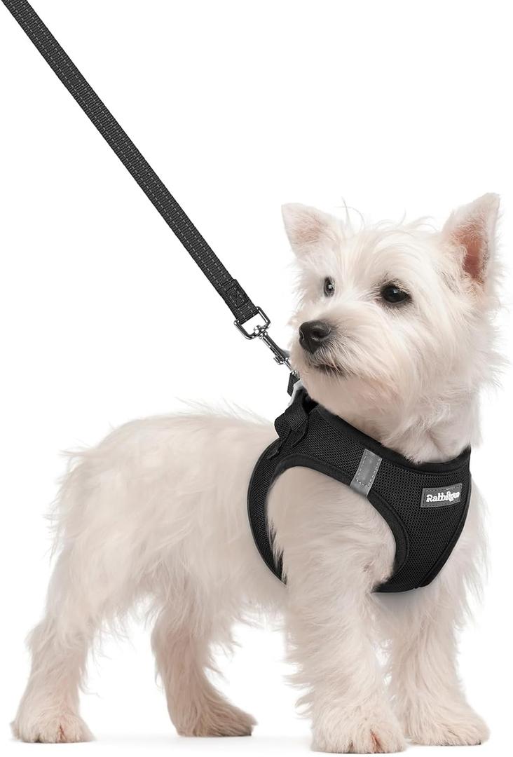 Rabbitgoo Dog Harness Small Sized and Leash Set, Step in Soft Light Puppy Vest, Breathable Mesh Pet Harness, Reflective for Safe Easy Walking, Black, Size L
