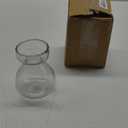 HomArt Recycled Glass Bulb Vase, Clear, 1-Count
