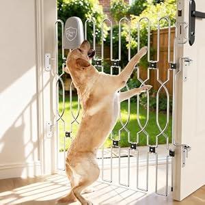 Snagle Paw Retractable Dog Gate for Front Door, 32.3" W x 35" H