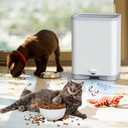 Touchless Vacuum Automatic Dustpan Great for Pet Hair/Food Crumbs/Dirt 4000PA Powerful Suction, Hair Vacuum for Salons Automatic Sensors, White Canister Vacuum Cleaner