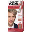 Just For Men Easy Comb-In Color Mens Hair Dye, Easy No Mix Application with Comb Applicator - Sandy Blond, A-10, Pack of 1