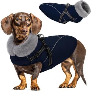 Queenmore Windproof Dog Coat for Medium Dogs, Dog Winter Jackets with Harness Built in, Waterproof Dogs Snowsuits with Zipper, Reflective Cold Weather Coats for Dachshund, Boston Terrier, Pug, Navy Blue, M