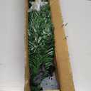 3FT Fiber Optic Green Christmas Tree Artificial Tree with Stand,Pre-lit Full Xmas Tree with Top Star Perfect for Indoor Holiday Decoration