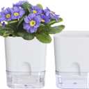 Self Watering Pots for Indoor Plants: African Violet Pots Planter with Visible Reservoir Self Watering Planter for Herb, House Plant Planting (4.25 Inchs)
