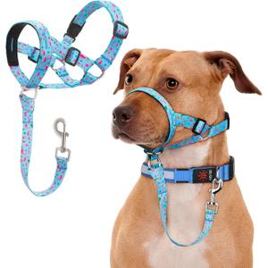 No-Pull Dog Head Collar, Print Head Halter Collar for Dogs, Gentle Lead to Stop Heavy Pulling, Anti-Pull Training Muzzle Leash for Easy Control on Walks (Blue, Small)