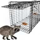 Live Humane Animal Trap, 32" x 11" x 12" Heavy Duty Humane Animal Cage Trap Catch and Release, Foldable Cat Trap for Stray Cats, Raccoons, Groundhogs, Opossums, Armadillos, and Similar-Sized Animals