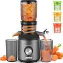 Ganiza Juicer Machines, Cold Press Juicer with Large Feed Chute for Whole Fruits & Vegetables, Slow Masticating juicers with 3 Replace Filters for Batch Juicing, Easy to Clean, BPA Free (Black)