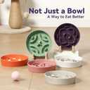 Ceramic Slow Feeder Dog Bowl - Feeding Dish for Fast Eaters - Maze Dog Bowl to Slow Down Eating - Ideal Food Control Dish for Small Breeds - 0.8 Cups (80g) - 6.3 Inch - Pink