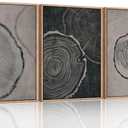 Ausril Tree Ring Framed Canvas Wall Art Set of 3, Modern Beige Wood Stump Wall Decor, Black and Gray Tree Spiral Wall Painting, Neutral Nature Art Print for Living Room, Bedroom, Office - 36"x24"