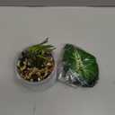 16" Small Fake Plants Artificial Tropical Faux Plants Indoor Desk Plant for Home Office Kitchen Shelf Sage Green Decor