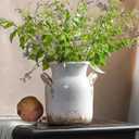 Quoowiit Ceramic Rustic Farmhouse Vase, Distressed Decorative Flower Vase for Home Decor, Ideal Shelf Decor, White Boho Vase for Living Room Bedroom Kitchen Office Decor Centerpiece Table Decorations (8 Inch)