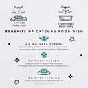 CatGuru Cat Bowls, Whisker Friendly Food Bowl for Indoor Cats, Reliefs Whisker Fatigue, Wide Kitten Dish, Non Slip Pet Dishes, Shallow Pet Plates (Stainless Steel, (Pack of 2)) (Dish - Set of Two)