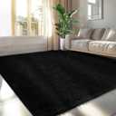 Ultra Soft Fluffy Area Rugs: Shag Area Rugs for Living Room- 5x7 Fluffy Rugs for Bedroom- Black Plush Fuzzy Rugs for Boys Kids Room (Black, 5x7Feet)