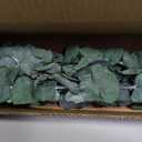 30Pcs Dried Eucalyptus for Shower Hanging-17''Preserved Real Fresh Eucalyptus for Green Home Decor,100%Made from Fresh Eucalyptu Leaves Plant,Bathroom Shower Decor,Wedding Decor