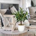 Artificial Olive Tree15'' Small Faux OliveTree Fake Olive Plants with White Pot for Home Bedroom Table Shelf Office Hotel Decor, Briful