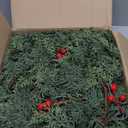 Artificial Cedar Christmas Garland Real Touch Realistic Soft and Thickness Garland Faux Full Greenery Holiday Garland for Mantel Fireplace Front Door Indoor Outdoor Xmas Decor (6FT-Lush Cedar)