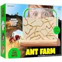 Dan&Darci Ant Farm Kit for Kids - Farms Colony - Includes Ants Voucher - Sand Habitat Kits - Bug Terrarium House - Educational Science Gifts for Kid - Nature Learning Toys for Boys, Girls & Adults