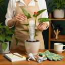 EBOOT 4pcs Large Self-Watering Spikes 6 Inch Plant Automatic Watering System Vacation Plant Irrigation Devices Automatic Irrigation Spikes for Indoor Outdoor Plants Home Office Balcony Planters