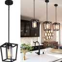 SGLfarmty 1-Light Black Pendant Lights Kitchen Island, Farmhouse Cage Metal Hanging Light Fixtures with Glass ShadeAdjustable Lantern Pendant Lighting for Dining Room, Entryway, Hallway
