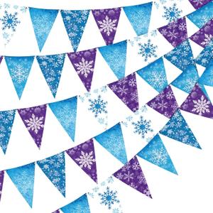 HESTYA 49 ft Winter Party Decoration Snowflake Triangle Banners Snow Pennant Paper Flags for Winter Birthday Party Decoration Supplies