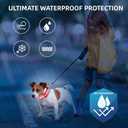 LED Dog Collar for Small Dogs Cats - Fully Waterproof & Adjustable Glow Collar - USB-C Rechargeable for Night Walking, Safety - Flashing Lighted Collar for Dogs(Red, S) (Small (Width:0.6",Length:10" - 14"))