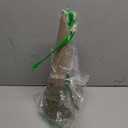 Ceenna 24 Pcs Paper Mache Cones Open Bottom Cardboard Craft Cones for Christmas Tree DIY Gnomes Ornament Multiple Sizes Decorations DIY Art Crafts 13.8x5, 9.8x3.9, 5.9x2.75 Inch