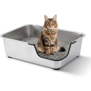Stainless Steel Cat Litter Box with Low Entry, Metal Kitty Litter Box for Senior or Injured Cats, Odor-Free, Non-Stick, Easy to Clean, 19.5"x13.6"x5.9", Litter Pan for Big and Small Cats