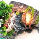 Reptile Box Shelter Terrarium Hideout Caves Turtle Ramp Basking Platform Habitat Decor Humidify Hide Cave Resin Rock