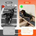 Dog Ramp for Stairs Adjustable Solid Wood Stair Ramps for Small & Senior Dogs Foldable Indoor Pet Wedges with 3 Heights (4.3"/5.5"/6.3") Non-Slip Carpet for Elderly or Injured Pets No Assembly, 4 pcs