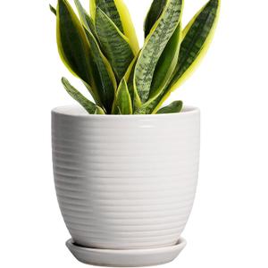 Ceramic Pots for Plants - 6 Inch Plant Pot with Drainage Hole and Saucer, Round Planters for Indoor Outdoor, Flower Pots, Modern Planter, Home Office Room Decor, Gifts for Plant Lovers, White