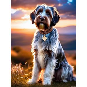 UPABLUNSO Diamond Painting Kits, 5D Wirehaired Pointing Griffon Diamond Art Kits, Dog Full Drill for Adults Beginner, Animals Diamond Painting Kits Perfect for Home Wall Decor 12x16 inch