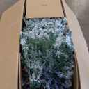 8 FT Pre-Lit Christmas Tree 3-Minute Quick Shape Flocked Decor with 600 LED Lights