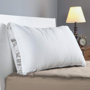 Sealy Support Pillow 28"x20"