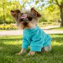4 Pack Fleece Dog Sweater Clothes for Small Dogs Girls Boys Pullover Turtleneck Dog Sweatshirt Coat Winter Soft and Warm Pet Puppy Sweater Clothes for Cold Weather Spring Autumn Christmas, Size S